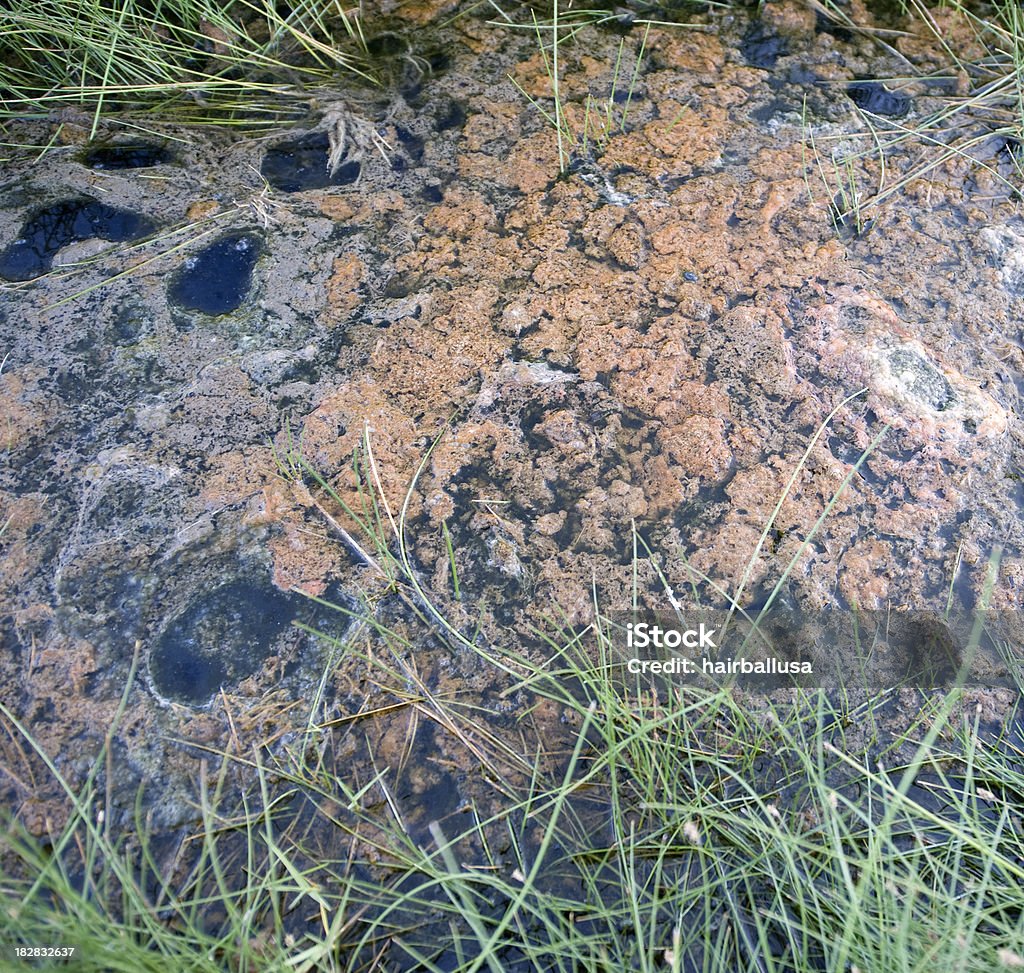 Invasión de lodo - Foto de stock de Catástrofe natural libre de derechos