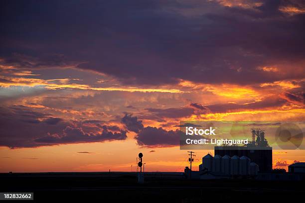 Prairie Fiore Terminal Tramonto - Fotografie stock e altre immagini di Agricoltura - Agricoltura, Ambientazione esterna, Bellezza naturale