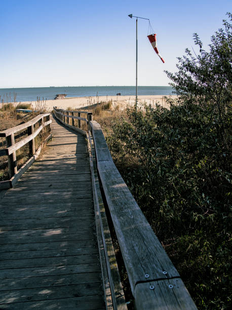 istock Wood beach entrance (Punta Marina, Italy) 1828327412