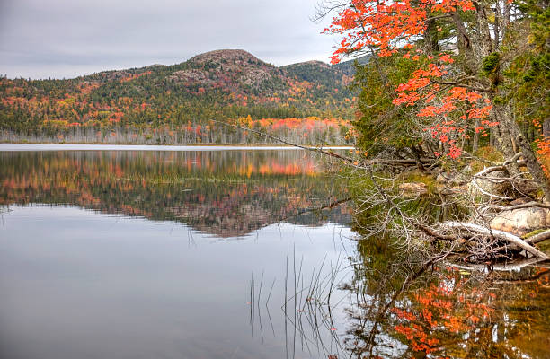 Acadia National Park preserves much of Mount Desert Island, and associated smaller islands, off the Atlantic coast of Maine. Photo taken during the peak autumn foliage season. Maine fall foliage ranks with the best in New England bringing out some of  the most beautiful foliage in the United States