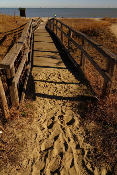 istock Wood beach entrance (Punta Marina, Italy) 1828331208