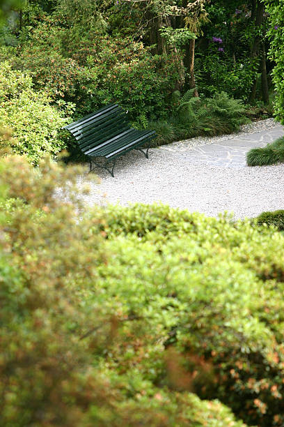 istock Wooden bench in the garden 182833425