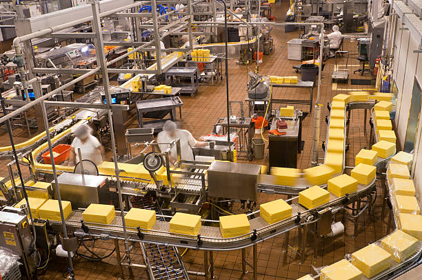 Food Factory - Packaging Cheese stock photo