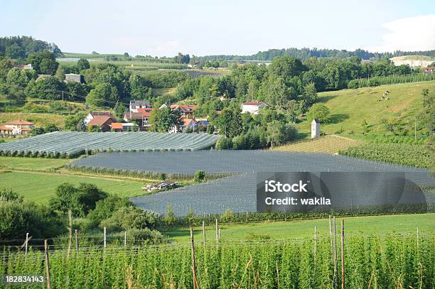 Protetto Colture Lago Di Costanza - Fotografie stock e altre immagini di Affari - Affari, Agricoltura, Aiuola