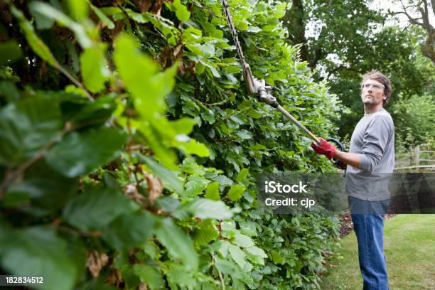 Gärtner Schneiden Beech Hedge Stockfoto und mehr Bilder von Stutzen - Stutzen, Heckenschere, Buche