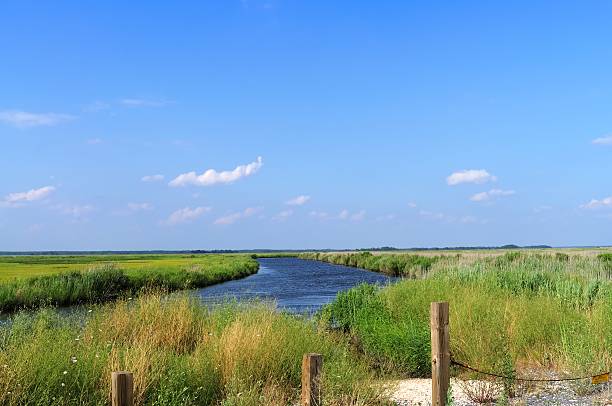 A view down one of the tributaries on Deal Island on the Maryland eastern shore.