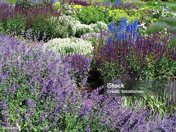 Herb Garden Stockfoto und mehr Bilder von Beleuchtet - Beleuchtet, Blumenbeet, Einige Gegenstände - Mittelgroße Ansammlung