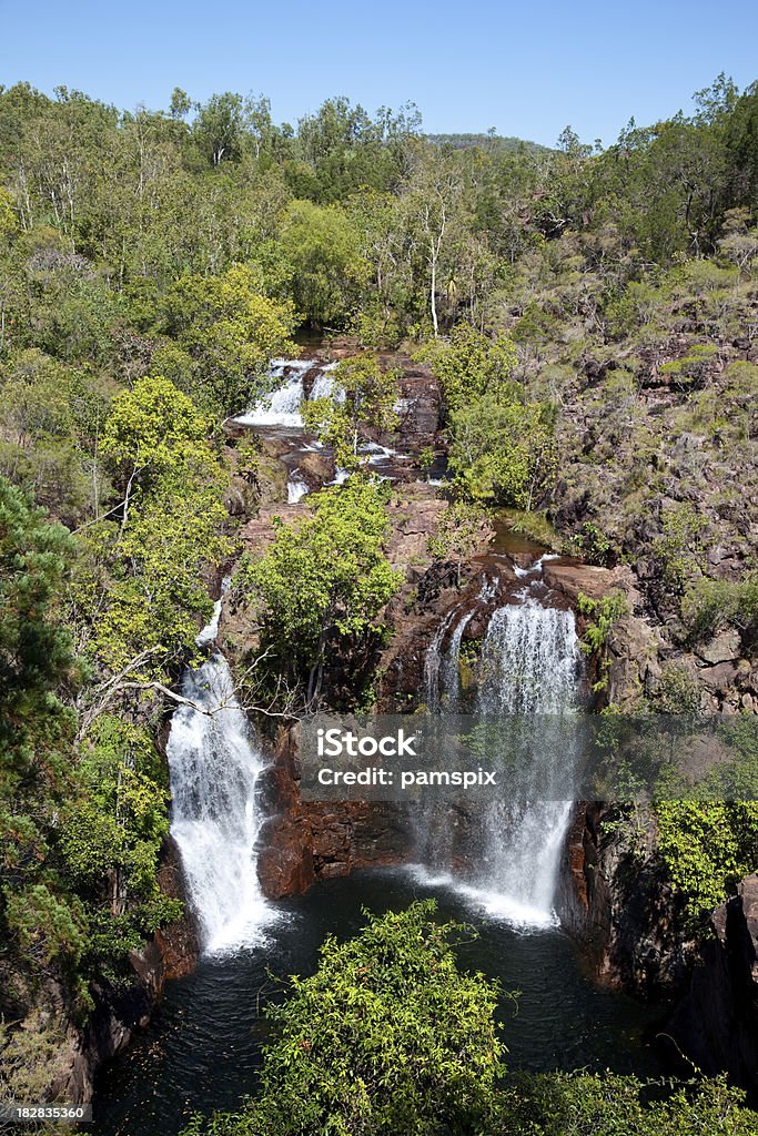 Florence Falls Northern Territory Waterfall National Park Australia "Vertical composition from an elevated view of a natural water fall in the Northern Territory, Australia. Click to see more..." Australia Stock Photo