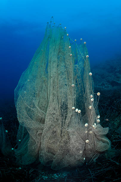 istock Underwater Fisherman's Net 182835460