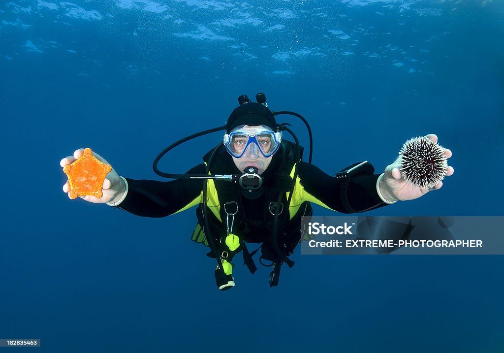 Diver найти Подводная жизнь - Стоковые фото Безопасность роялти-фри
