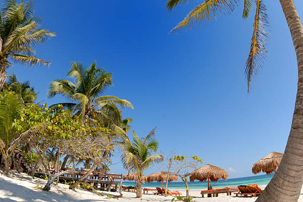 istock White sand beach and luxury resort 182835537