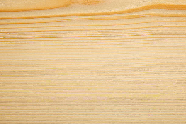 istock Wood Texture - Silver fir 182836060