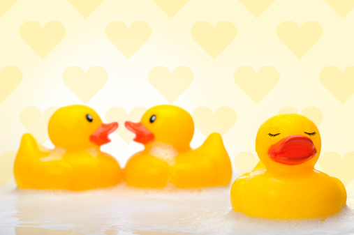 Trio of rubber duck. one of them is completely disinterested.Please see some similar pictures from my portfolio: