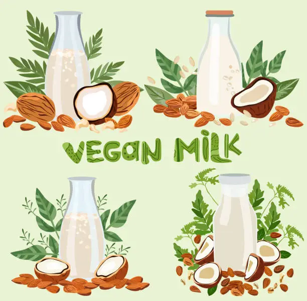 Vector illustration of Plant based milk concept, Non dairy, plant based beverages in bottl glass, ideal for a wholesome diet. Organic lactose free milk with almond, cashew, pine nut, coconut. Organic nutrition.