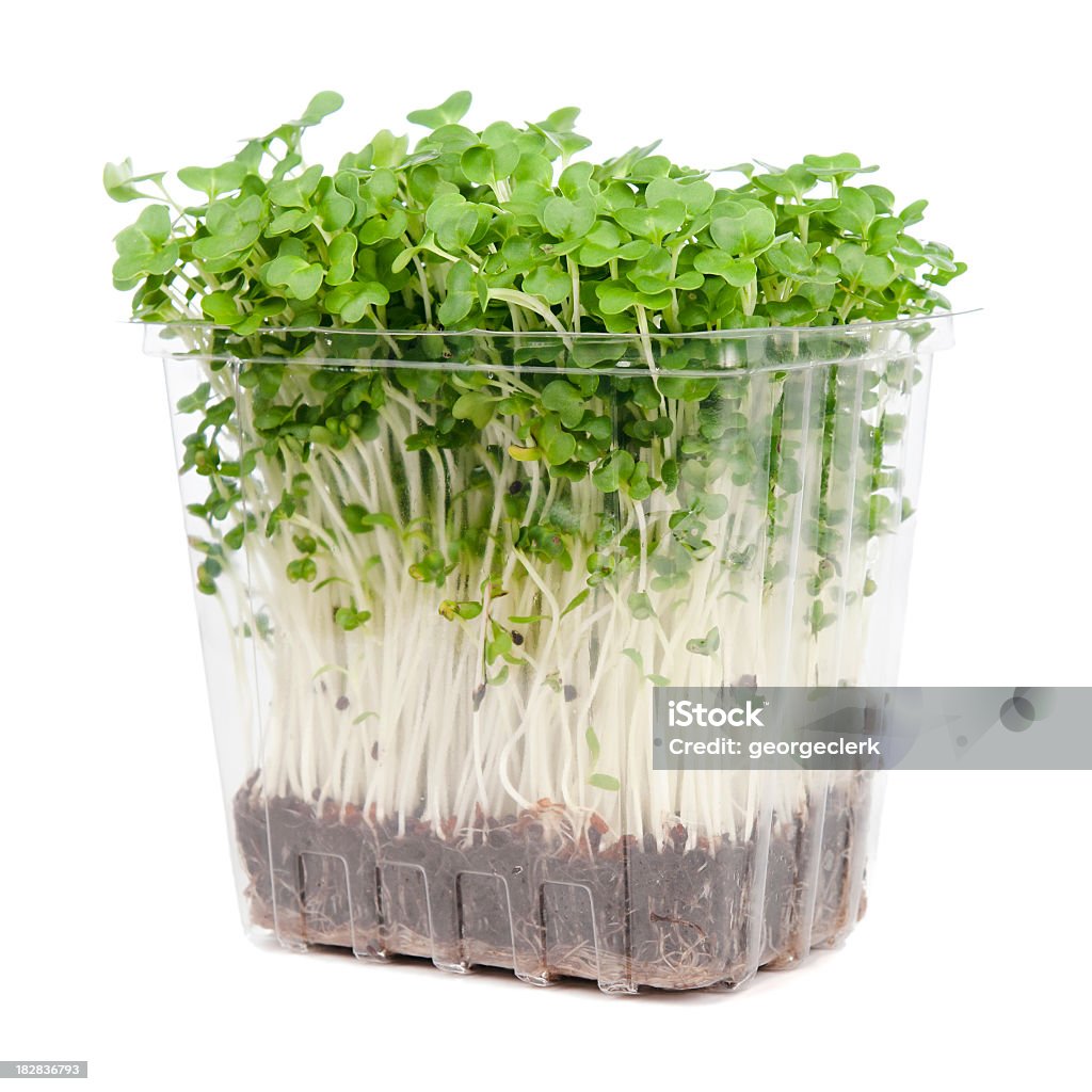 Fresh Watercress Punnet Fresh watercress in a clear plastic container.  Isolated on white. Seedling Stock Photo