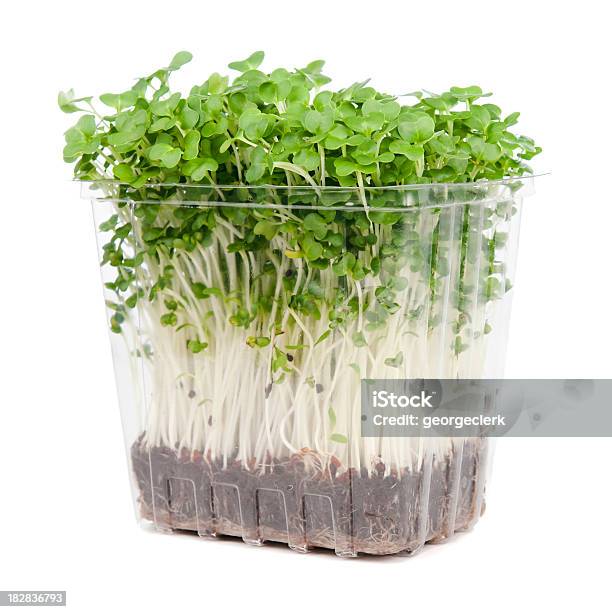 Fresh Watercress Punnet Stock Photo - Download Image Now - Seedling, Fruit Carton, Germinating