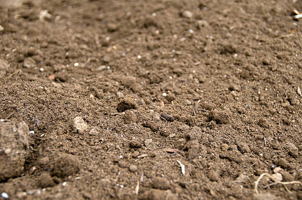 Freshly Plowed Dirt garden soil ready for planting.See more related images in my Lawnmower & Gardening lightbox: topsoil stock pictures, royalty-free photos & images