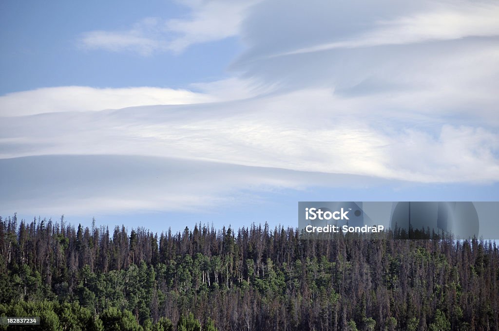 Высокослоистое облако Clouds - Стоковые фото Lodgepole Сосна роялти-фри