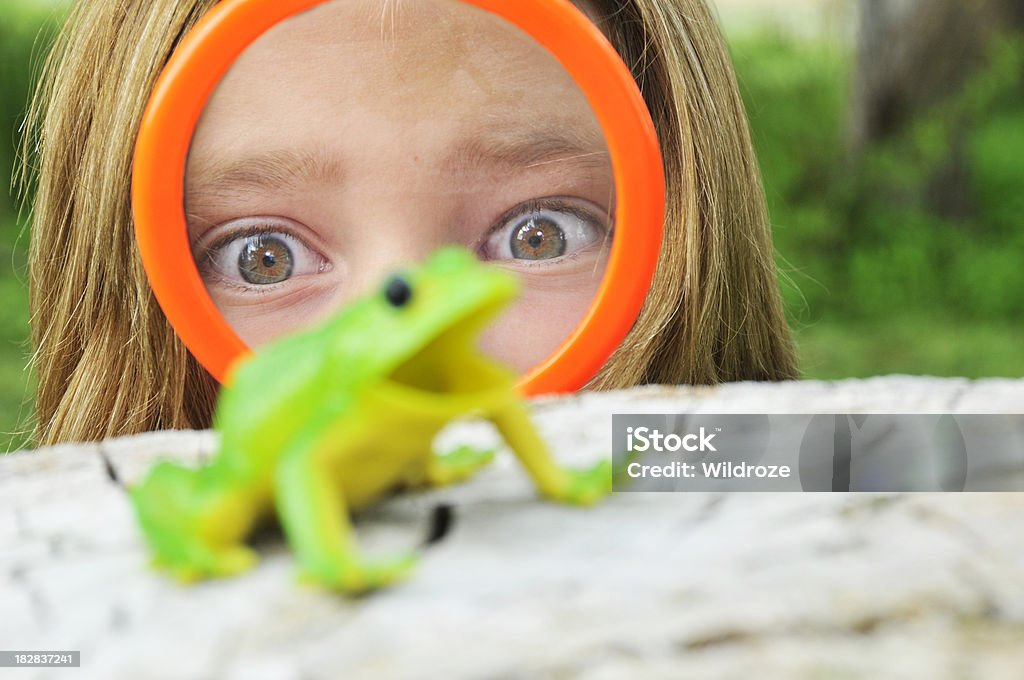 Mädchen wirft Frosch mit Lupe - Lizenzfrei Frosch Stock-Foto