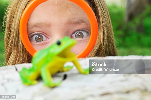 Dziewczyna Analizuje Frog Z Lupa - zdjęcia stockowe i więcej obrazów Dziecko - Dziecko, Patrzeć, Żaba