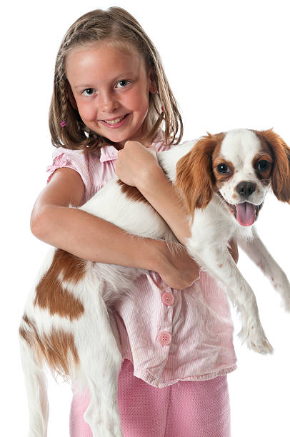 istock Little Girl holding a Puppy 182837340