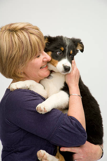 istock Happy dog owner 182837878