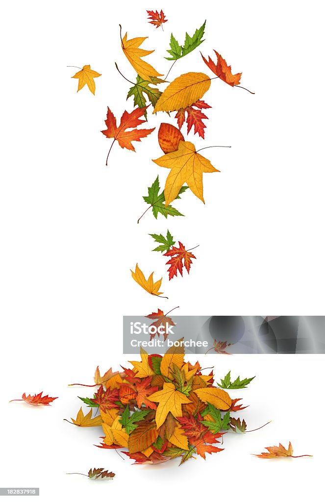 Красочные Осенние листья - Стоковые фото Без людей роялти-фри