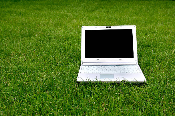 istock Laptop in the grass on a summer day 182838750