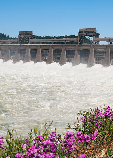 istock Water gushing Through a Dam Spillway 182838838