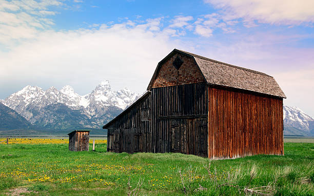 istock Old Barn in the Morning 182839296