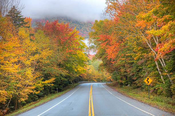 istock Autumn colors along the Kancamagus Highway 182839517