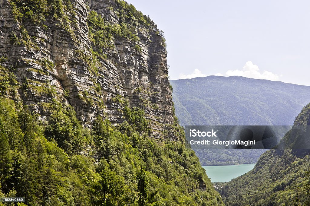 Alpine Rocks i roślinność, Dolomity w lecie - Zbiór zdjęć royalty-free (Alpy)