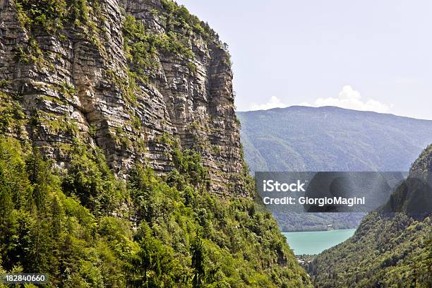 Alpine Rocks I Roślinność Dolomity W Lecie - zdjęcia stockowe i więcej obrazów Alpy - Alpy, Bez ludzi, Dolina