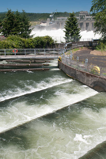 istock Fish Ladder and Dam Spillway 182840891