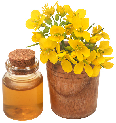 Closeup of mustard flowers with oil in a jar