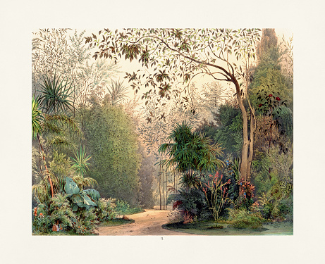 Antique 18th-century illustration: Winter gardens at Vienna's Imperial Palace Hofburg. This color lithograph depicts lush gardens, period-clad people strollingan enchanting glimpse into imperial history. Circa 1850.