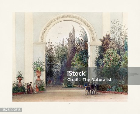 Timeless Winter Gardens Beauty. Circa 1850