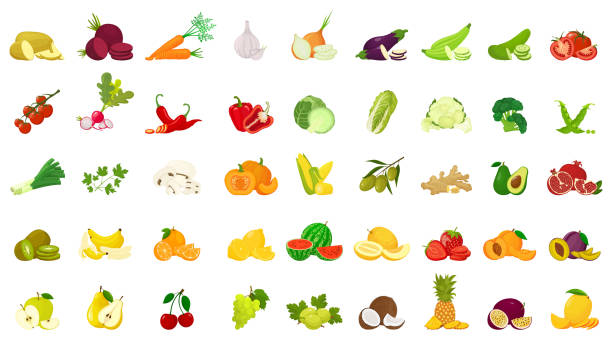 ñðµññññðºñð¸ - sebze stock illustrations