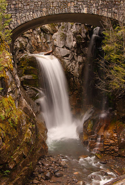 istock Christine Falls at Mt Rainier 182841383