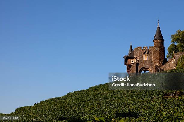 Замок И Виноградник — стоковые фотографии и другие картинки Долина - Долина, Река Рейн, Живописный