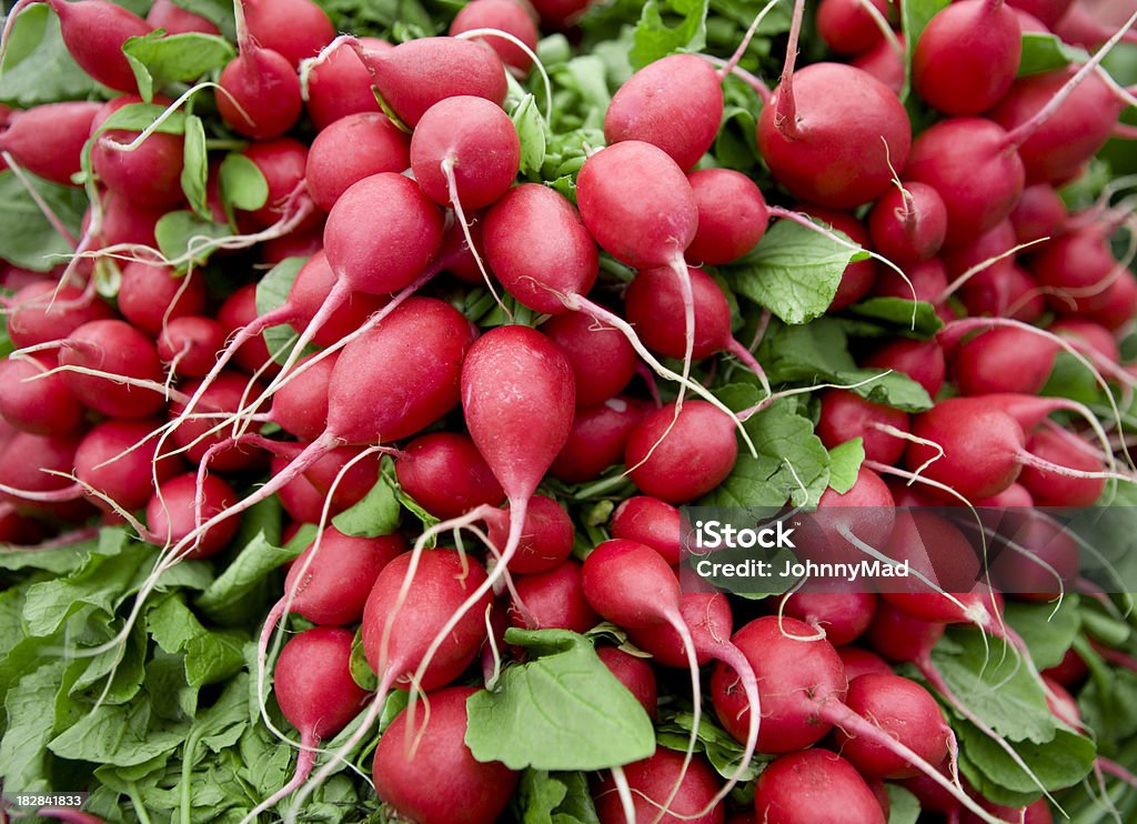 Radishes - Lizenzfrei Bund Stock-Foto