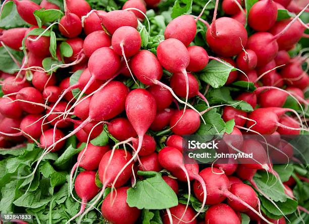 Radishes - アブラナ科のストックフォトや画像を多数ご用意 - アブラナ科, オーガニック, ラディッシュ