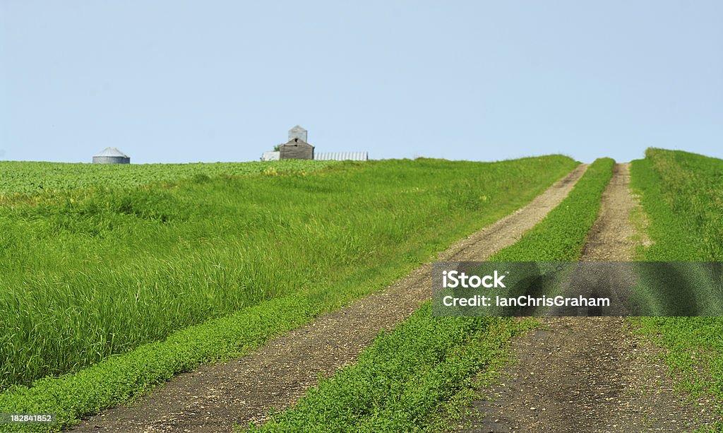 Country estrada - Foto de stock de Agricultura royalty-free