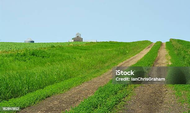 Foto de Country Estrada e mais fotos de stock de Agricultura - Agricultura, Alberta, Campo