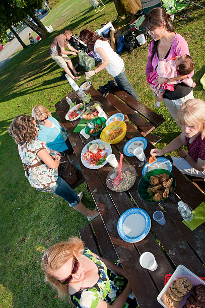 istock Family Picnic From Above 182841938