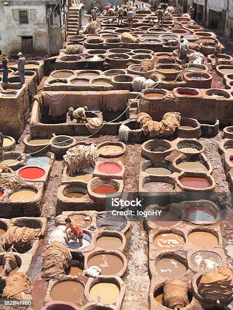 Bairro Tannersno Fes Marrocos - Fotografias de stock e mais imagens de Camelo - Camelo, Marrocos, Turismo