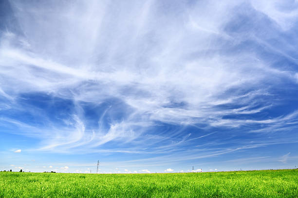 istock Green Field Landscape 182842315