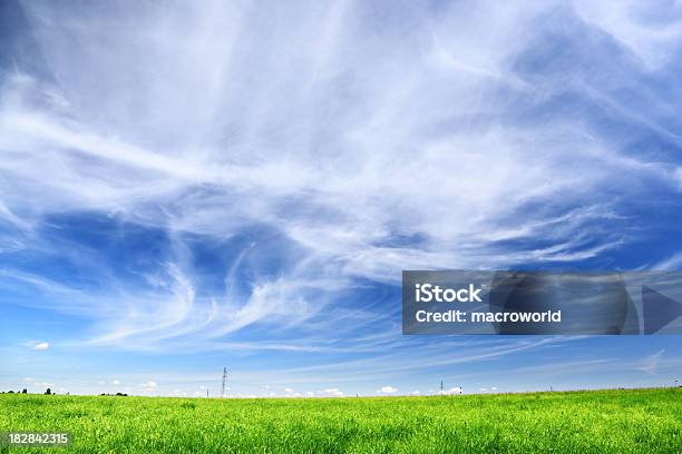 Paisagem De Campo Verde - Fotografias de stock e mais imagens de Azul - Azul, Céu, Nuvem - Céu