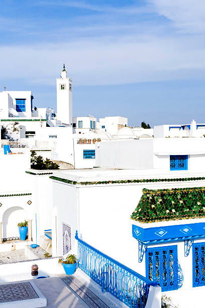 istock Tunisia: White Houses of Sidi Bou Said 182842792