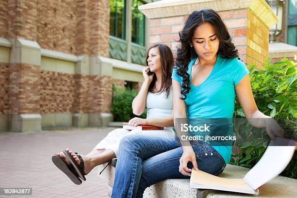 Estudantes No Campus - Fotografias de stock e mais imagens de A usar um telefone - A usar um telefone, Campus, Duas Pessoas